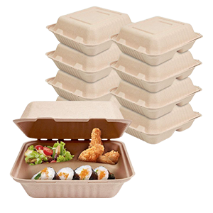 Disposable Food Containers