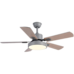 Ceiling Fans