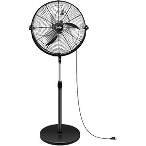 Standing Fans