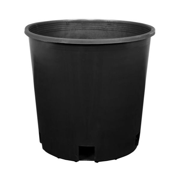 pratico Outdoors 3 Gallon Fabric Plant Pots, 5 Pack, Black