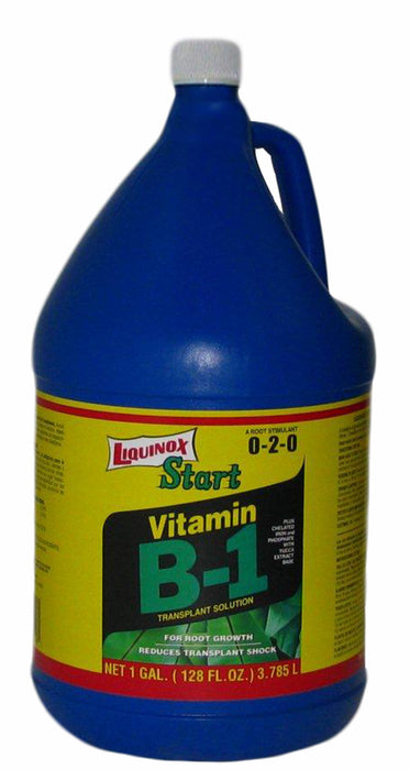 Liquinox Start Vitamin B-1 Transplant Solution 0-2-0-1 gal