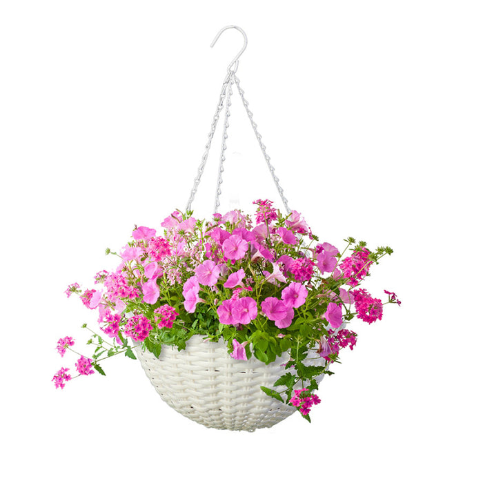 Panacea Resin Wicker Hanging Basket-White, 14 in