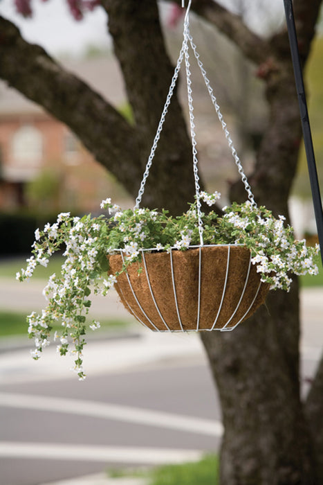 Panacea Growers Hanging Basket With Liner-White, 14 in