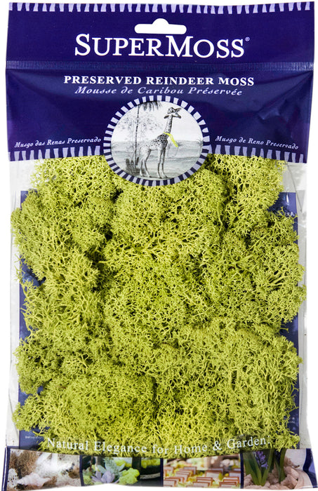 Supermoss Reindeer Moss Preserved Chartreuse-Green, 2 oz