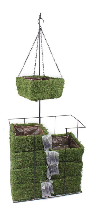 Supermoss Square Hanging Basket Preserved-Spring Green, SM, 10.5In X 10.5In X 6 in