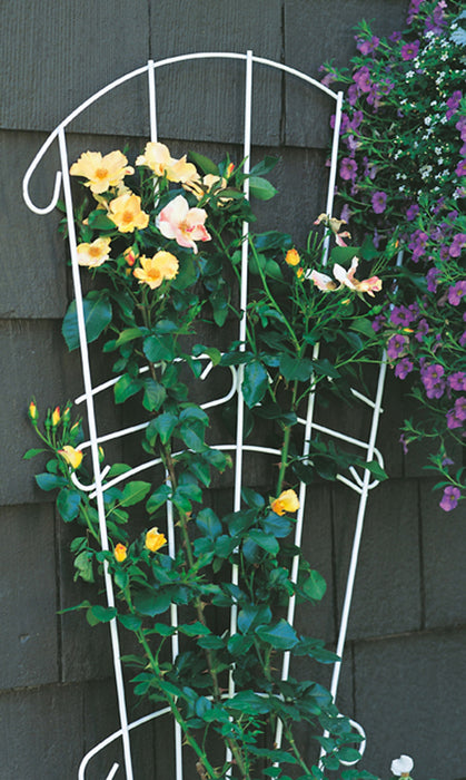 Panacea Garden Fan Trellis-White, 60 in