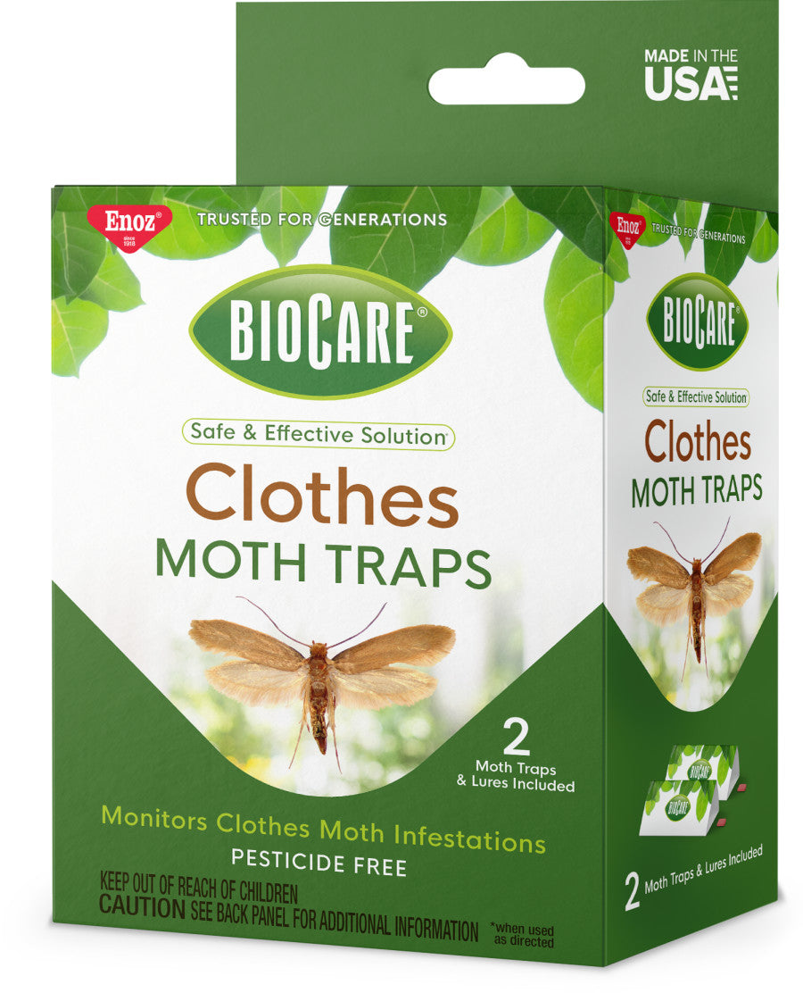 Webbing Clothes Moth Trap Kit