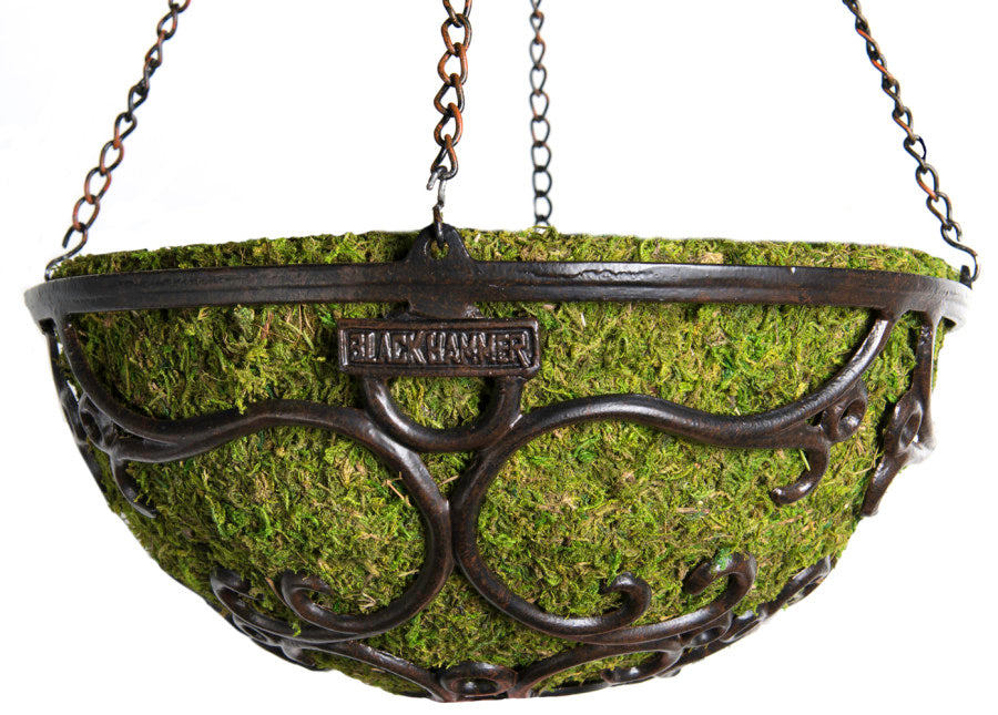 Supermoss Hammer Hanging Basket-Macbeth Round, Black, 14 in